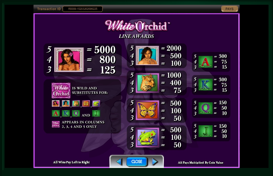 white orchid slot machine detail image 3
